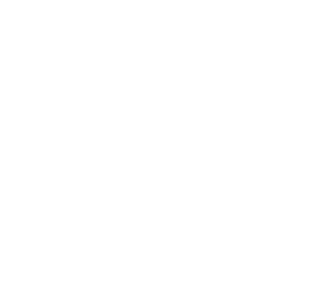 971 MMA & Fitness Academy LOGO for Best MMA gym in Dubai