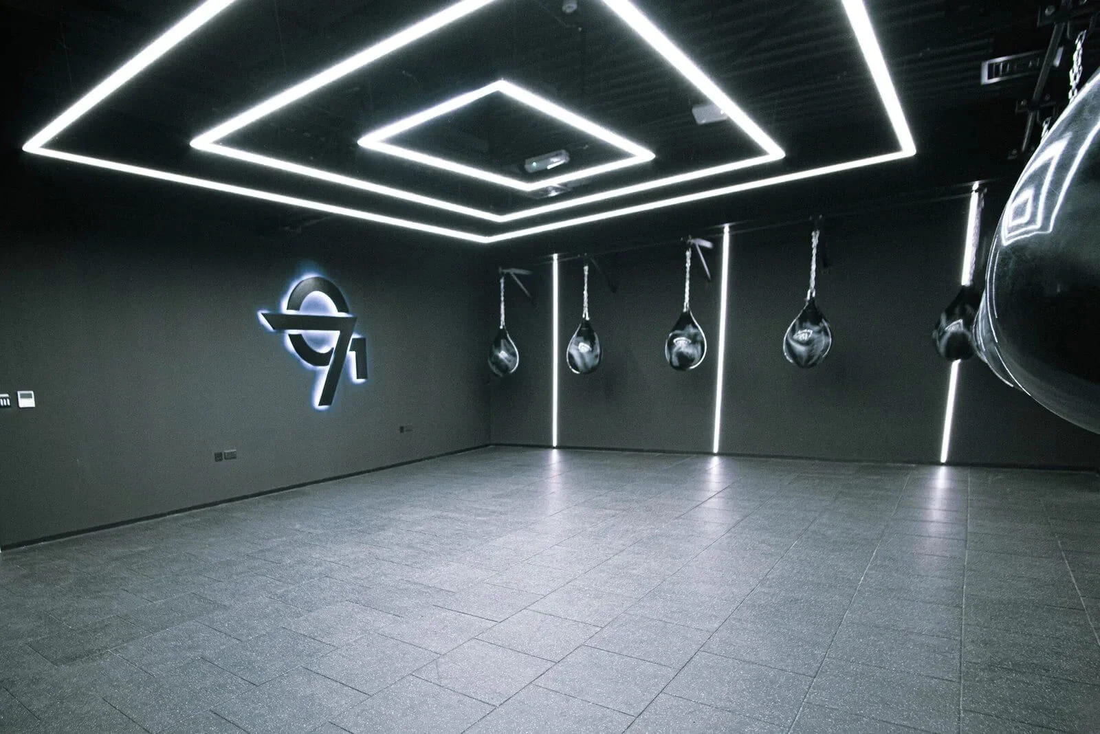 Best MMA Gym In Dubai MMA Training Dubai Pro MMA Fighters Fitness Clubs In Dubai MMA Gym