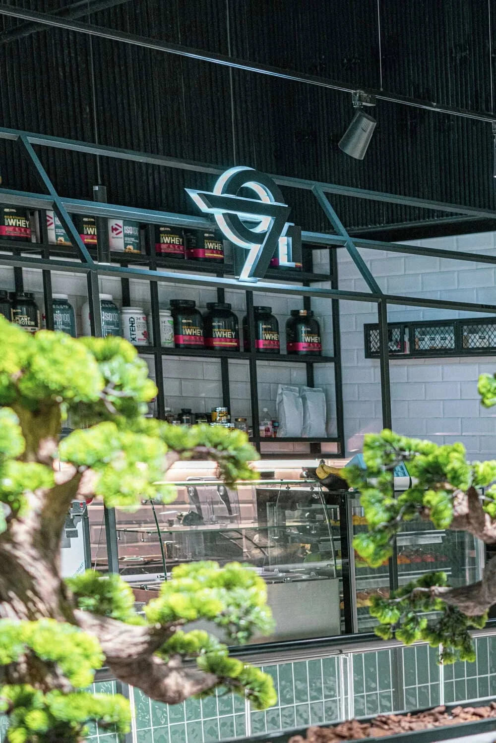 Best MMA Gym In Dubai MMA Training Dubai Pro MMA Fighters Fitness Clubs In Dubai MMA Gym